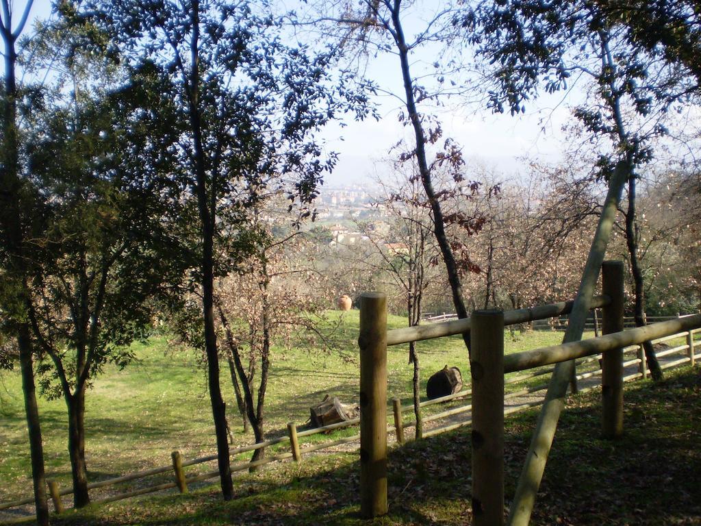Casa Limonaia Apartman Arezzo Szoba fotó